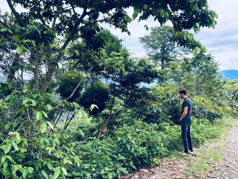 Buscando café en las montañas de Chiapas