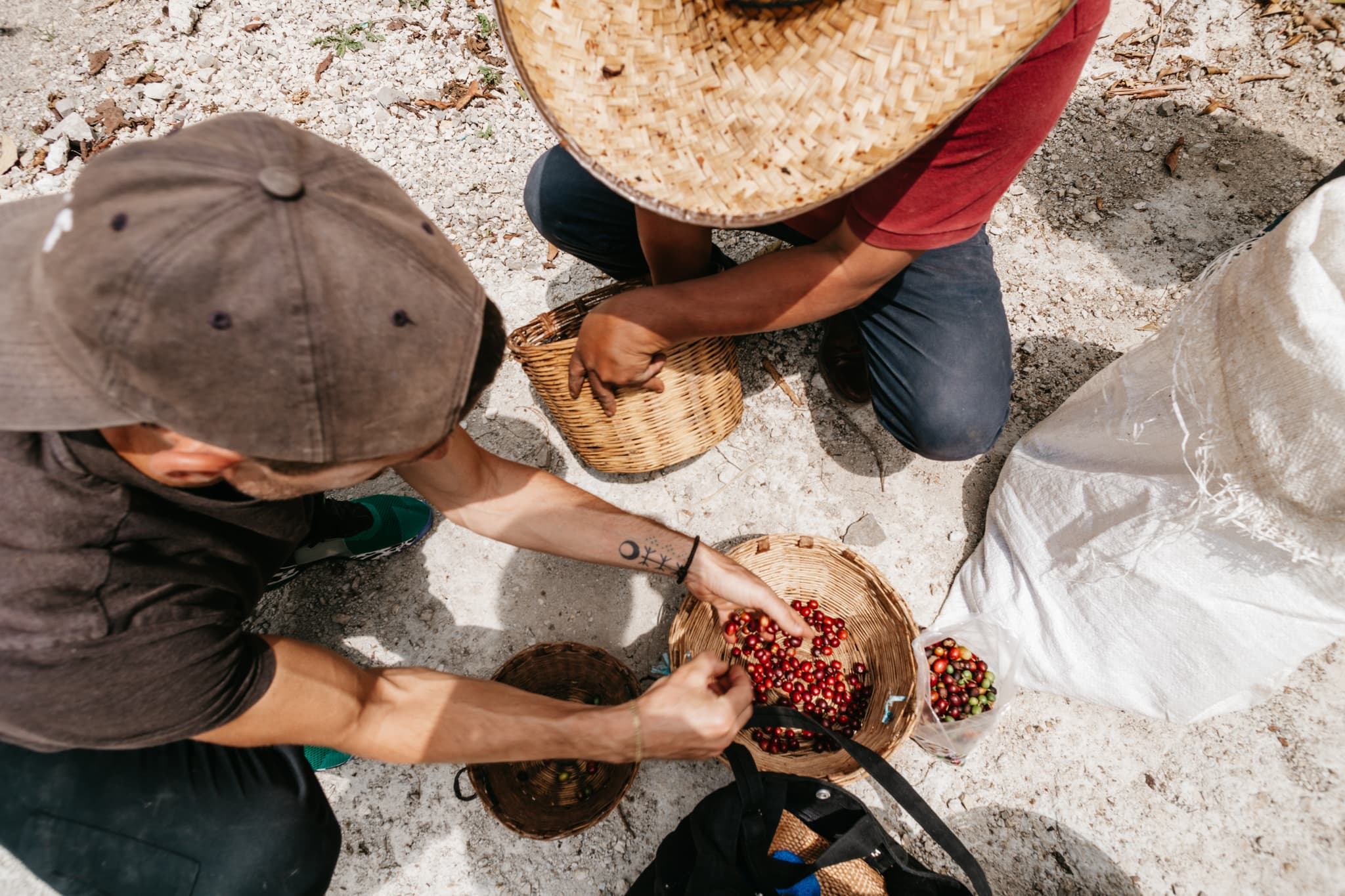 Productores seleccionando café a mano en Chiapas